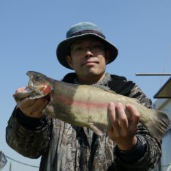 としまえんフィッシングエリア 釣果