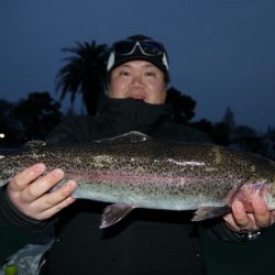 としまえんフィッシングエリア 釣果