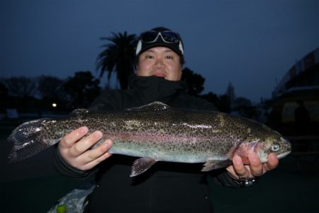 としまえんフィッシングエリア 釣果