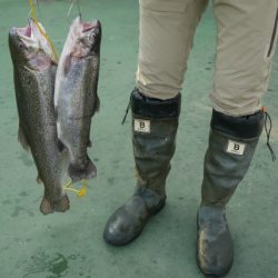 としまえんフィッシングエリア 釣果