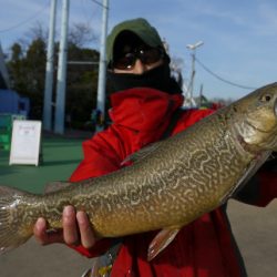 としまえんフィッシングエリア 釣果
