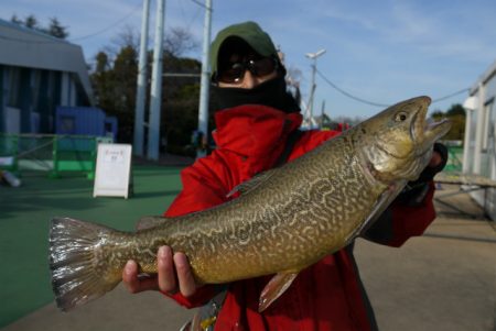 としまえんフィッシングエリア 釣果