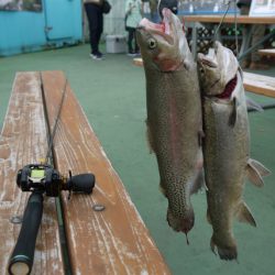 としまえんフィッシングエリア 釣果