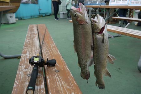 としまえんフィッシングエリア 釣果