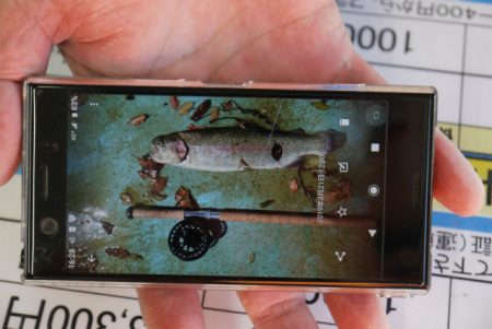 としまえんフィッシングエリア 釣果