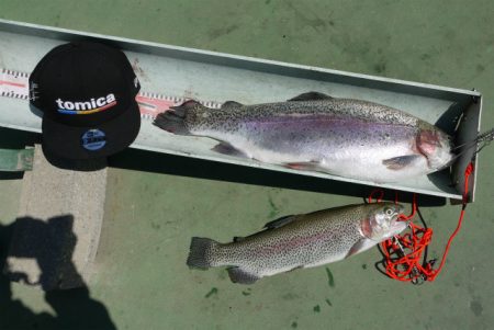 としまえんフィッシングエリア 釣果