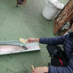 としまえんフィッシングエリア 釣果