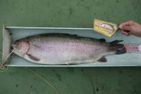 としまえんフィッシングエリア 釣果