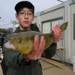 としまえんフィッシングエリア 釣果