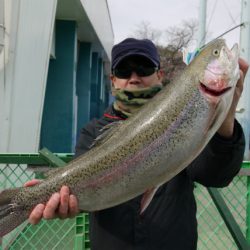 としまえんフィッシングエリア 釣果