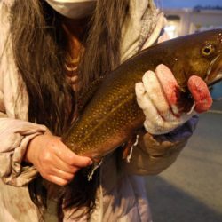 としまえんフィッシングエリア 釣果