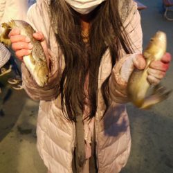 としまえんフィッシングエリア 釣果