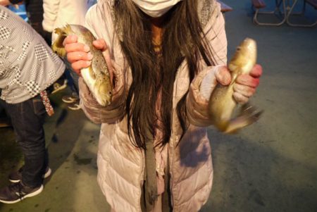 としまえんフィッシングエリア 釣果