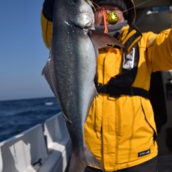 渡船屋たにぐち 釣果