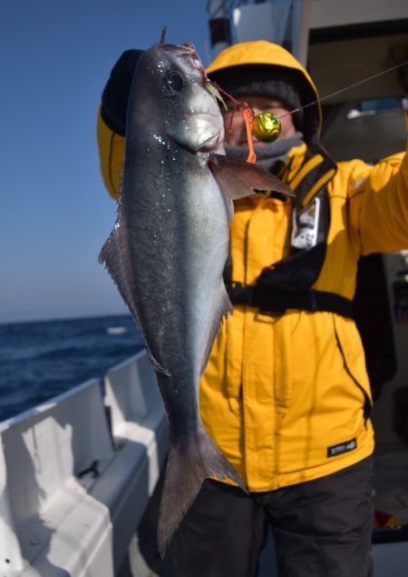 渡船屋たにぐち 釣果