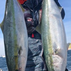 あみや渡船 JIGBOY 釣果