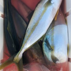 あみや渡船 JIGBOY 釣果