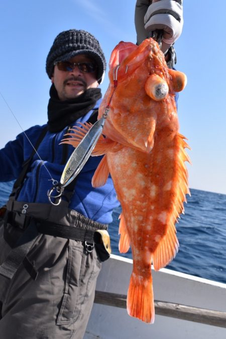渡船屋たにぐち 釣果