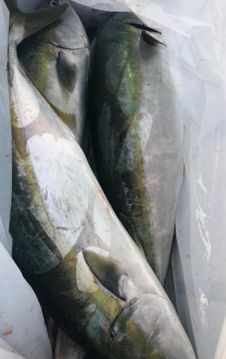 あみや渡船 JIGBOY 釣果