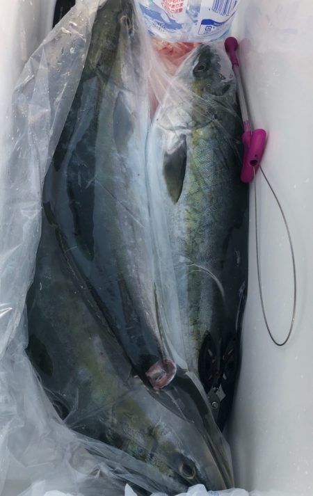 あみや渡船 JIGBOY 釣果