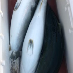 あみや渡船 JIGBOY 釣果