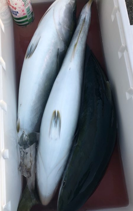 あみや渡船 JIGBOY 釣果