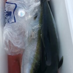 あみや渡船 JIGBOY 釣果