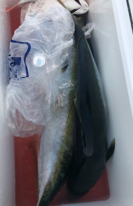 あみや渡船 JIGBOY 釣果