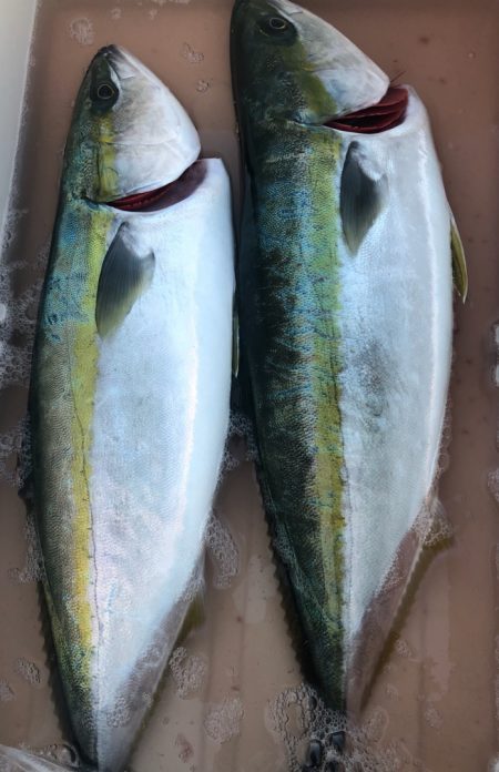 あみや渡船 JIGBOY 釣果