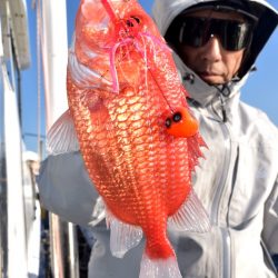 渡船屋たにぐち 釣果