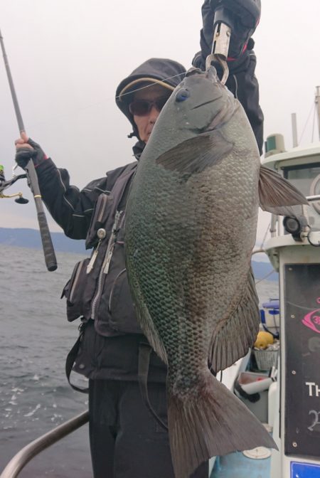 シースナイパー海龍 釣果