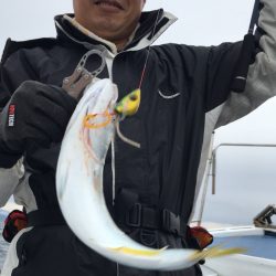 渡船屋たにぐち 釣果