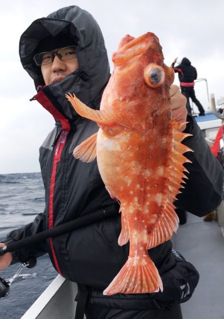 渡船屋たにぐち 釣果