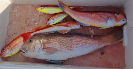 Big One　ビッグワン 釣果