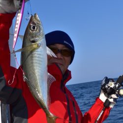 渡船屋たにぐち 釣果
