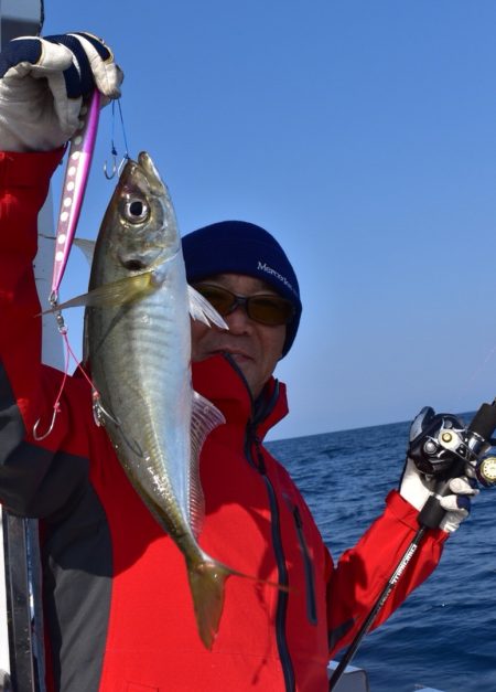 渡船屋たにぐち 釣果