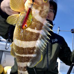 渡船屋たにぐち 釣果