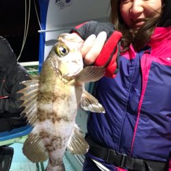 ヤザワ渡船 釣果