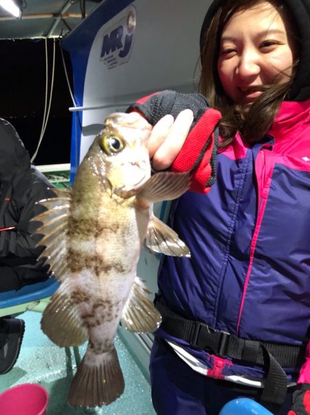 ヤザワ渡船 釣果