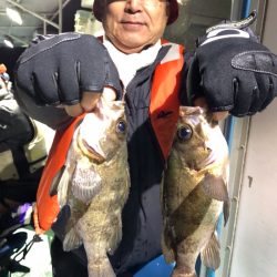 ヤザワ渡船 釣果