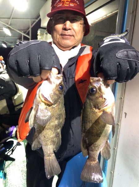 ヤザワ渡船 釣果