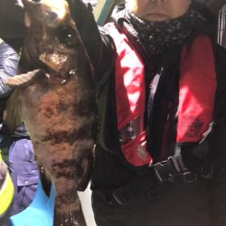 ヤザワ渡船 釣果