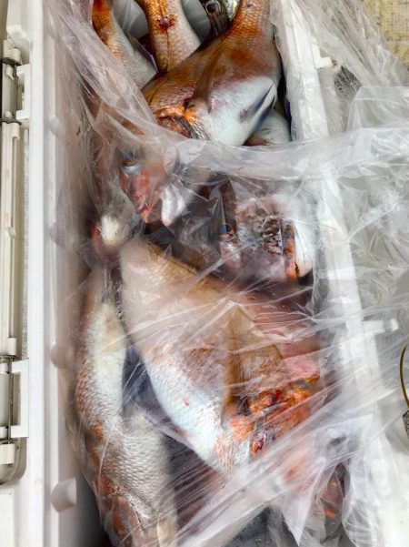 龍神丸(鹿児島) 釣果