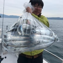 ビッグファイター 釣果