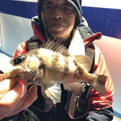 ヤザワ渡船 釣果