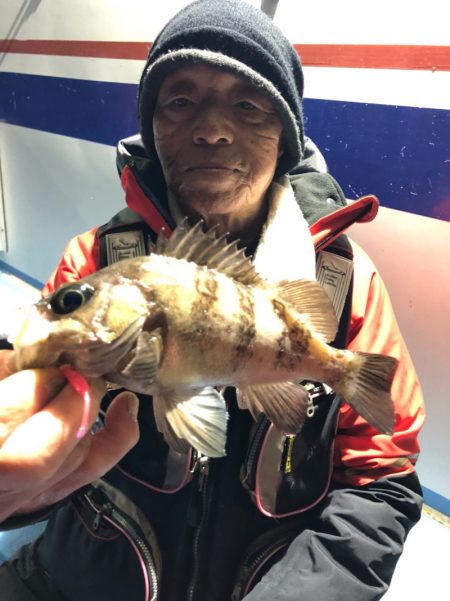 ヤザワ渡船 釣果