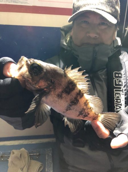 ヤザワ渡船 釣果