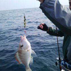 光生丸 釣果