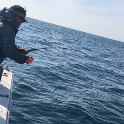 あみや渡船 JIGBOY 釣果