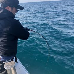 あみや渡船 JIGBOY 釣果